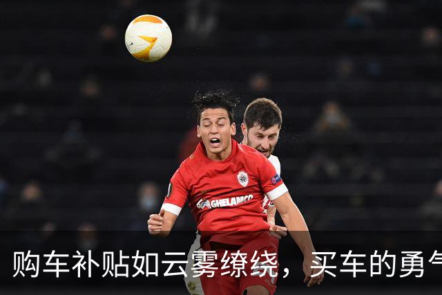 购车补贴如云雾缭绕，买车的勇气去哪儿了？