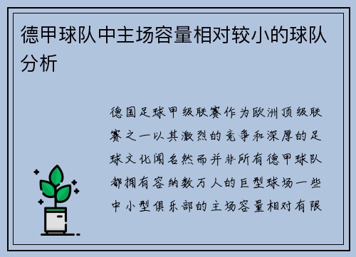 德甲球队中主场容量相对较小的球队分析
